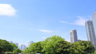 企業情報