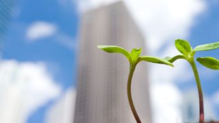 企業理念